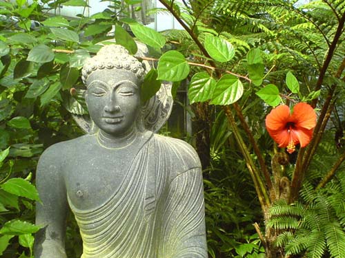 buddha garden