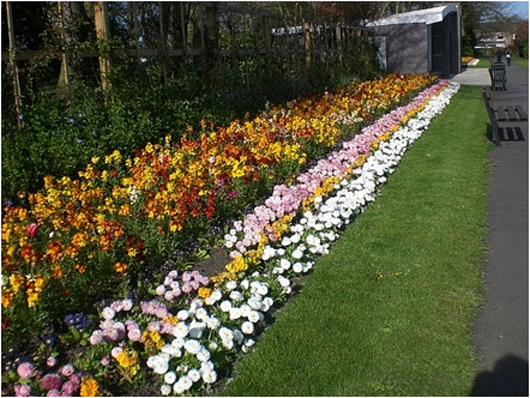 colorful garden landscape