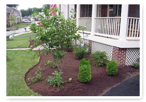 curb appeal front lawn