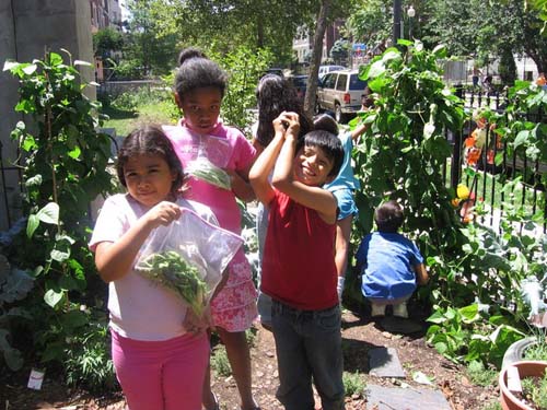 dc community garden