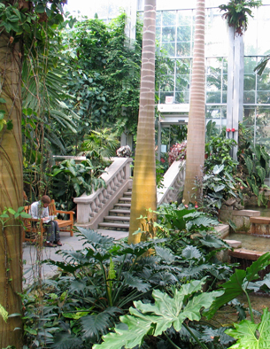 us botanic garden
