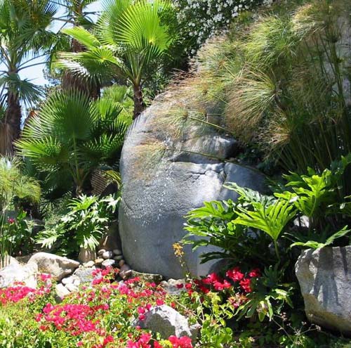 tropical garden