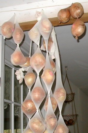 panty hose garden