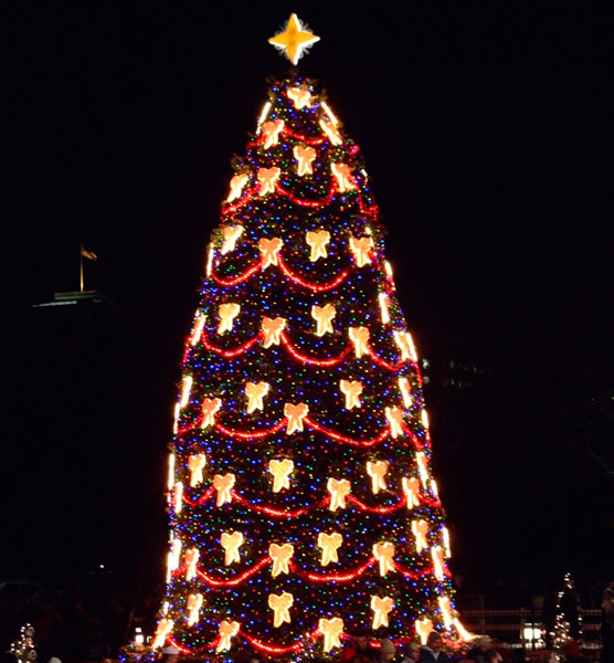 national christmas tree