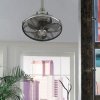 Ceiling Fans/Fans