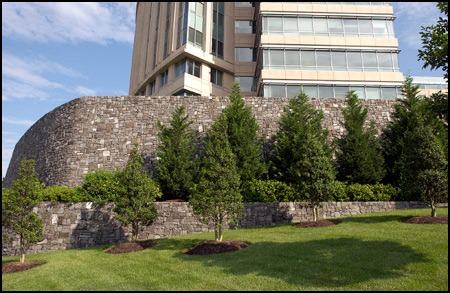 Chapel Valley Landscape Company
