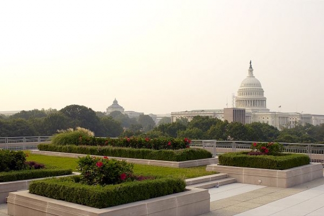 Have You Considered a Green Roof? | Chevy Chase, MD