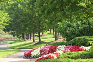 Loudoun Tech Center Flower Enhancements | Sterling, VA