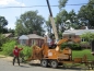 Keep Your Hard Earned Cash | Leesburg, VA Tree Service