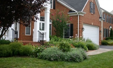 Beautiful Flowering Trees: Landscape Maintenance | Potomac MD