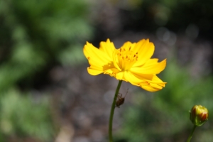 Bring On Spring!