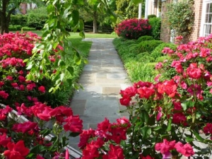 Backyard Landscaping: More than just Grass | Washington DC