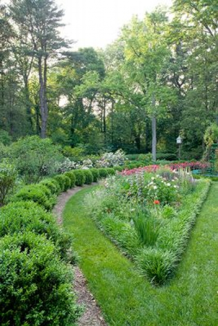 Summer Plant Health Care | Ellicott City MD