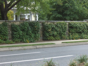 3 Interesting Ways to Dress up Your Block Retaining Wall