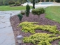 How can you use crushed stone? Let's count the ways! | Washington D.C