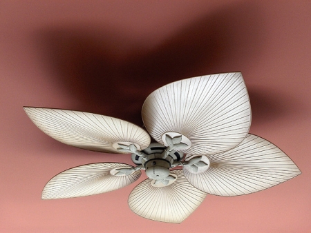 Ceiling Fans | When Form Meets Function