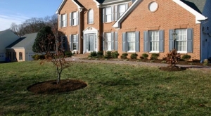 Be Careful Where You Dig for Landscape Maintenance | Silver Spring MD